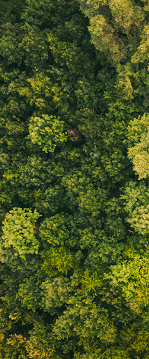 Market-based approaches